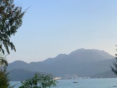 -花海间·即刻露营