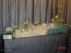 -FEI FEI FLOWER鲜花店·气球派对·宝宝宴布置(虹口德必运动Loft店)