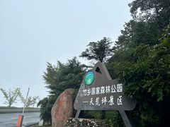 -江南天池