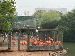 -郑州市动物园