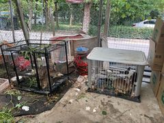 -马陆小张葡萄园农家乐