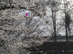 -堤角公园
