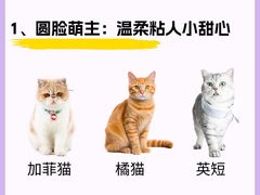 -lincat·猫舍(广州店)