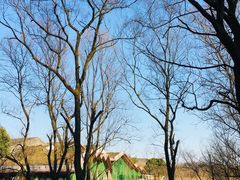 -西湖风景区-江洋畈生态公园