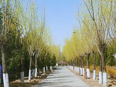-绿堤公园