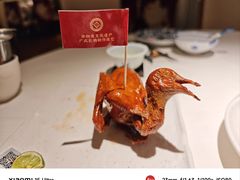 非遗红烧乳鸽-侨美食家·41年地道粤菜(恒福路店)