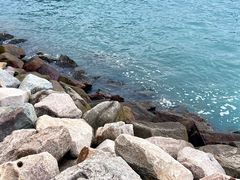 -青蓬蒸汽海鲜·深圳老字号·团建聚会(壹方城店)