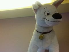 -中影国际影城(建军路金鹰购物中心店)