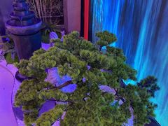 -大桶大足浴(瞿溪路店)