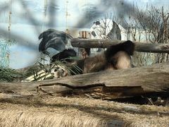 -鄂尔多斯野生动物园