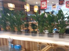 -大清花饺子(山庄店)