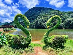 -广州市石门国家森林公园