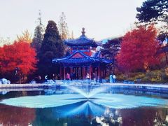 -香山公园