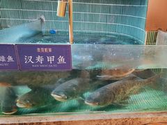 -鱼你相聚·河鲜馆(袁家岭店)