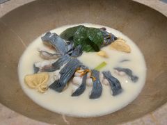 -滇小鱼·云南野生菌火锅(上杭路店)