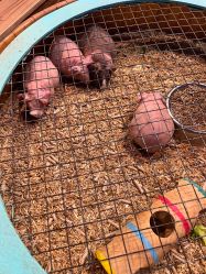 -酷嗒动物文化乐园(cutezoo西溪乐天城店)