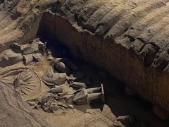 -秦始皇帝陵博物院(兵马俑)