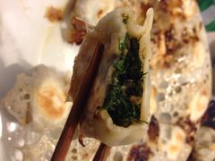 盛京一禾-盛京一禾