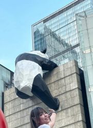 -DL HOPE明星造型