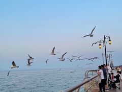 -东港音乐喷泉广场