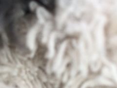 -厦门诚毅自然探索馆