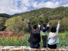 -广州市石门国家森林公园
