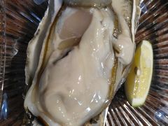 -蚝堡海鲜·威海菜·海肠捞饭·烧烤·亚洲吃蚝公司(幸福门店)