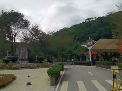 -广州白江湖森林公园