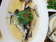 无姜清蒸鱼-清远恒大酒店·寻味清远