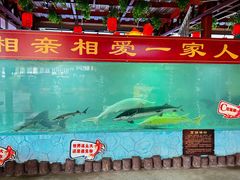 -年辉渔村