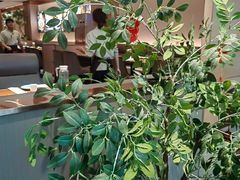 -北李妈妈菜·虾爬子大锅贴(贵和店)