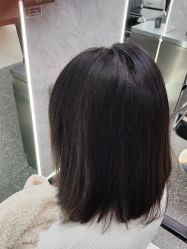 -YESIDO椰岛造型