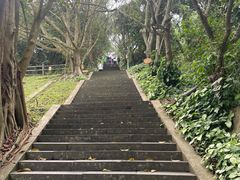 -海口火山口国家地质公园