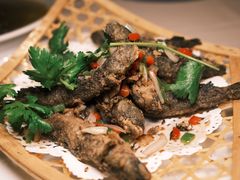 -鲨鱼醉鲜坊