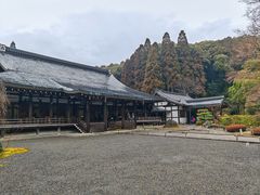-西芳寺(苔寺)