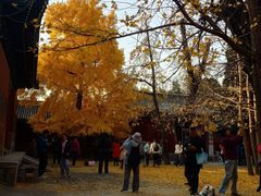 -承恩寺