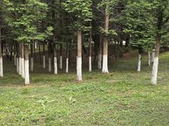 -大连植物园