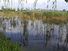 -永定河休闲森林公园