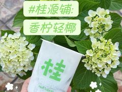 -桂桂茶(赤峰站店)