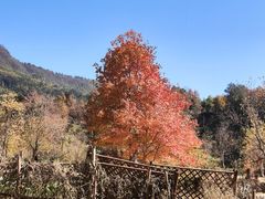-塔川景区