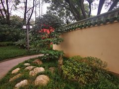 -鹅岭公园瞰胜楼