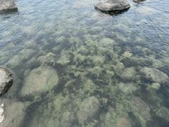 -滆湖低碳生态公园