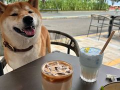 -ommo cafe(半岛城邦店)