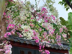 -深圳国际园林花卉博览园