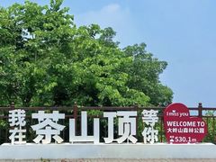 -东莞市大岭山森林公园
