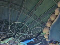 -烟台海昌鲸鲨海洋公园