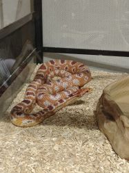 -Zoolung Zoolung动物主题公园(海信广场店)