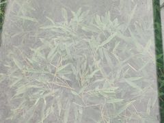 -陶祖圣境风景区