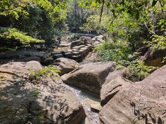 -广州白江湖森林公园