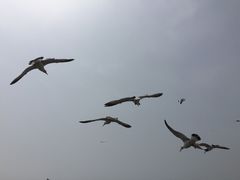 -海驴岛(荣成市)